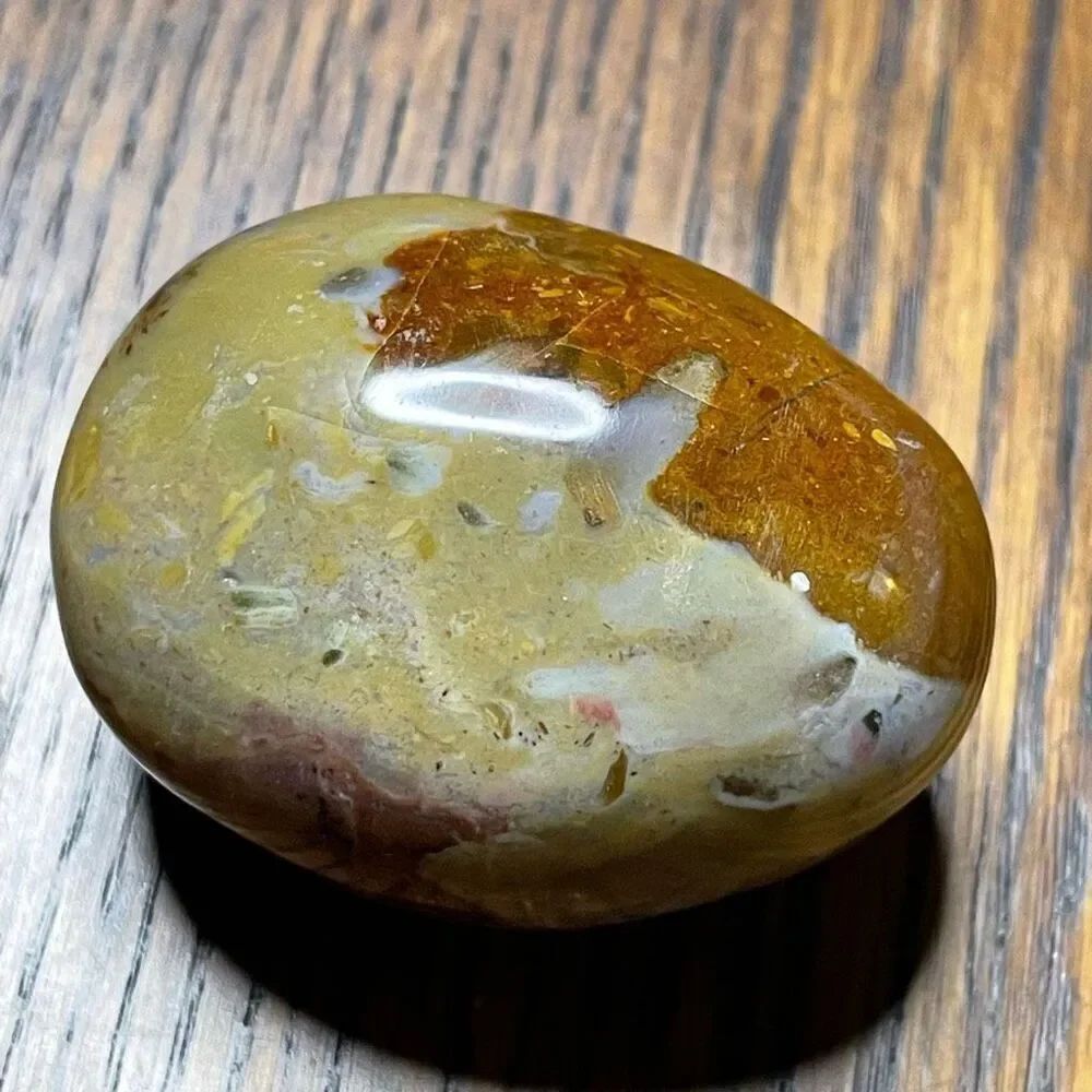 Ocean Jasper palm stone crystal natural druzy agate agatized brown orange yellow